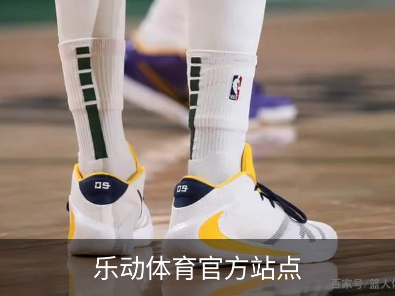乐动体育官方站点简介